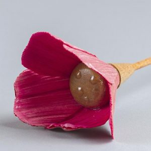 flor de tusa de maiz rojo con fucsia